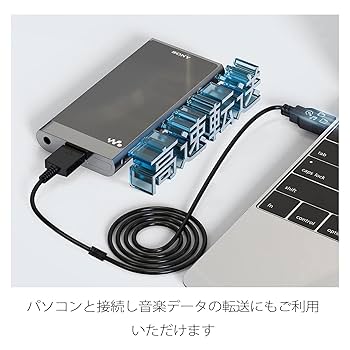 ソニー ウォークマン 充電ケーブル付 NW−S786 32GB 楽天市場】[送料無料]ソニー ウォークマン(Sony Walkman) USB